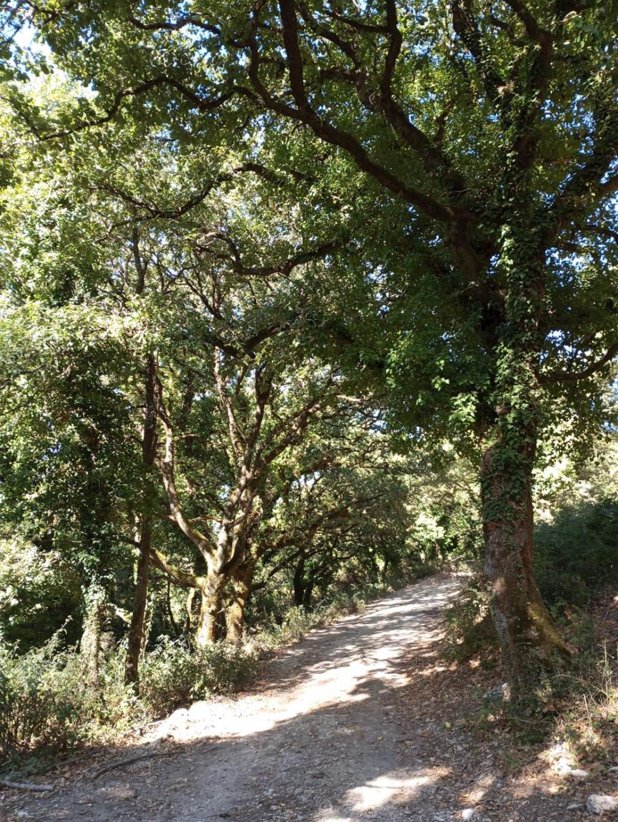 Santa Margherita di Belice La Casa Di Enza 아파트 외부 사진
